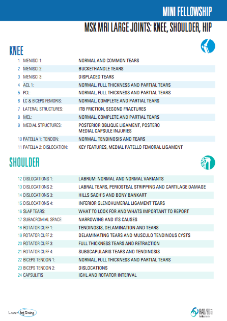 mri fellowship msk large joints