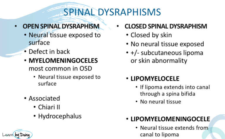 mri spinal dysraphism radiology education asia