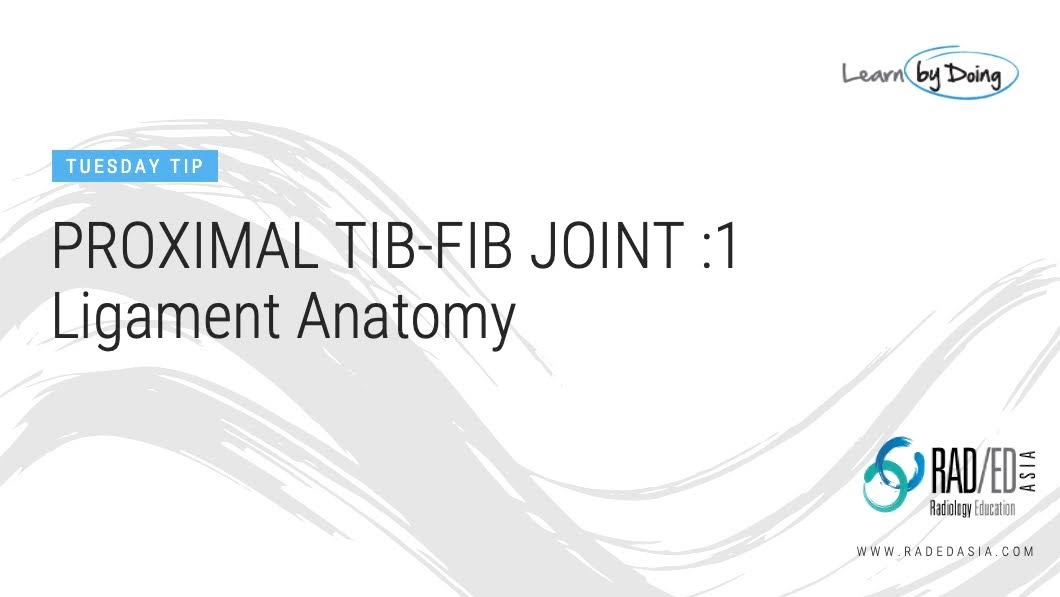 proximal-tibio-fibular-joint-mri-normal-anatomy-ligaments-online-radiology-courses-conference-education-asia