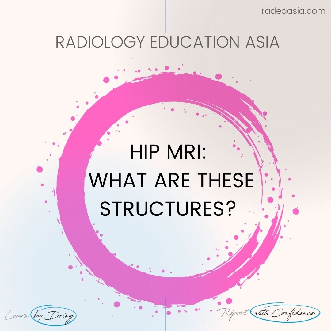 learn-radiology-hip-mri-structures-radedasia.jpg